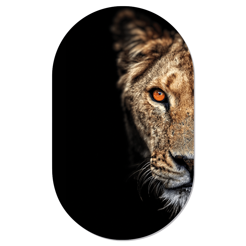 Muurovaal Lioness