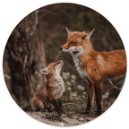 Muurcirkel Foxes