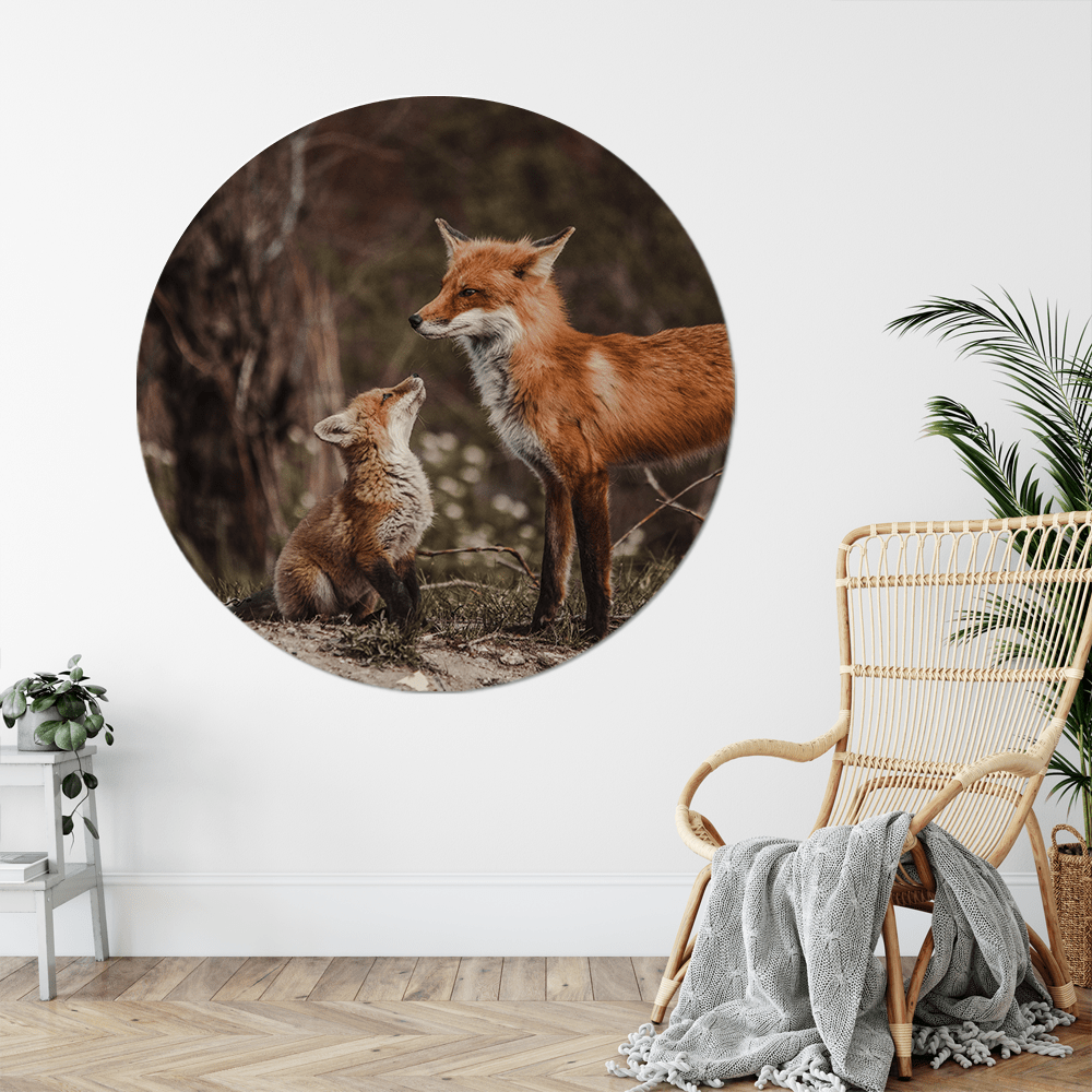 Muurcirkel Foxes