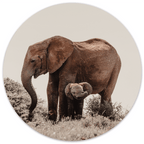 Muurcirkel Baby Olifant