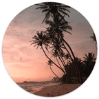 Muurcirkel Palm Sunset