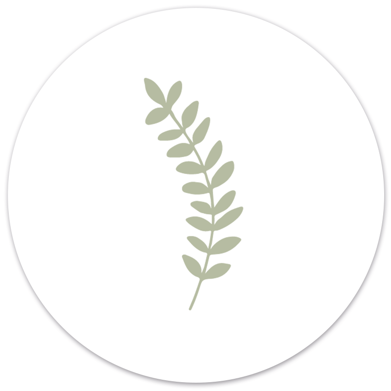 Muurcirkel Blaadje Groen