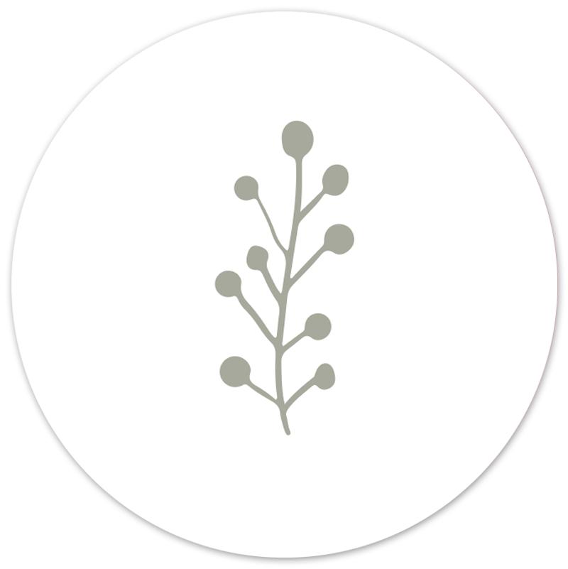 Muurcirkel Leaf Wit