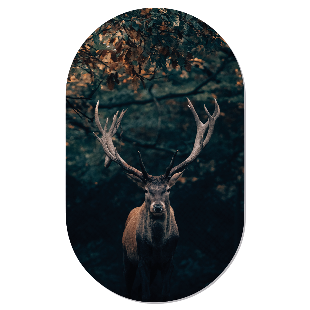 Muurovaal Dark Deer