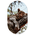 Muurovaal Sleepy
