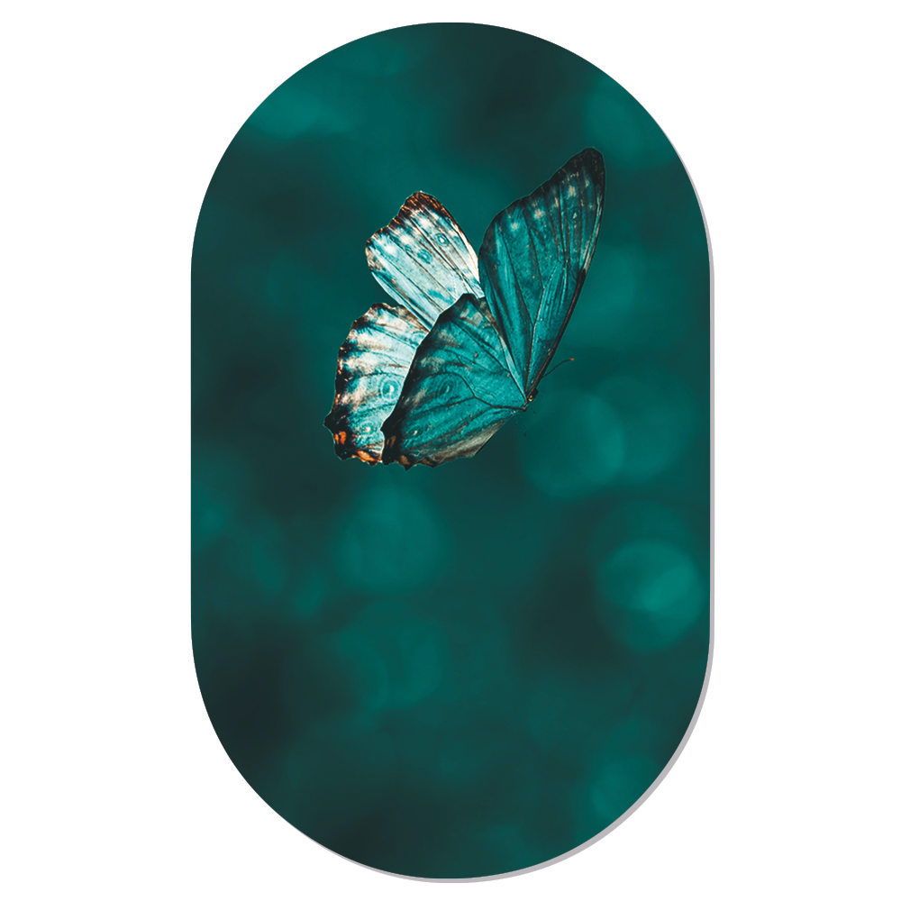Muurovaal Butterfly