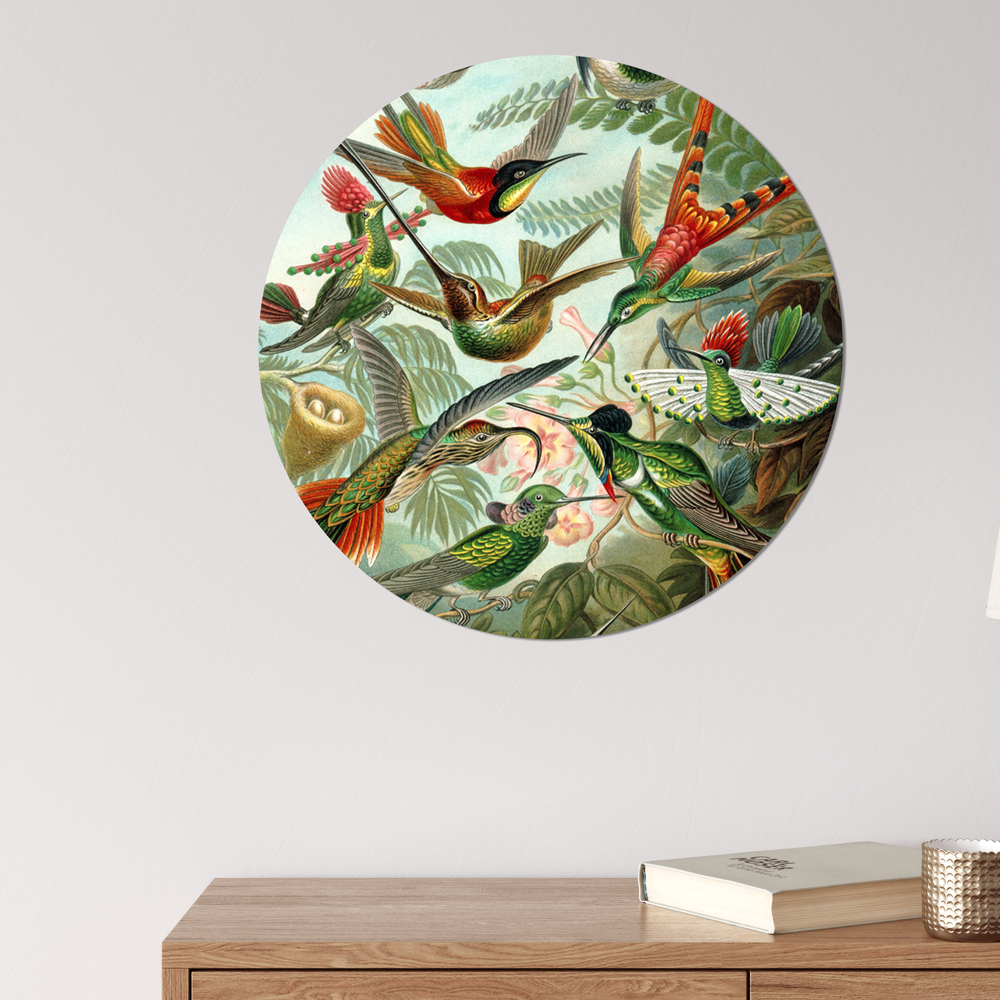 Muurcirkel Hummingbirds Van Ernst Haeckel