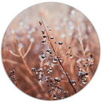 Muurcirkel Cosy Flower Winter