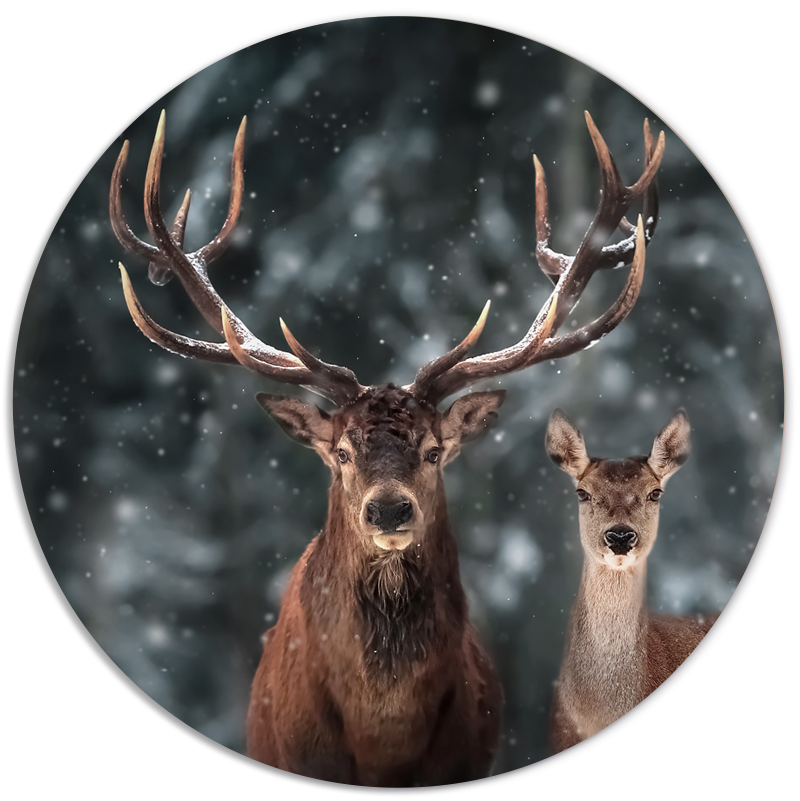 Muurcirkel Deer Couple