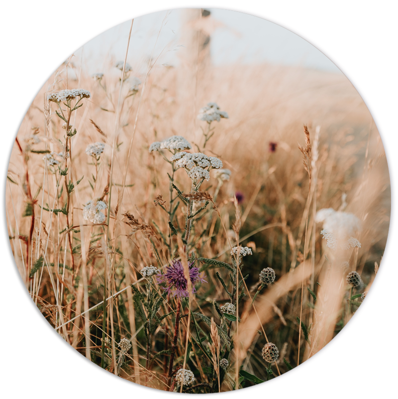 Muurcirkel Spring Mix