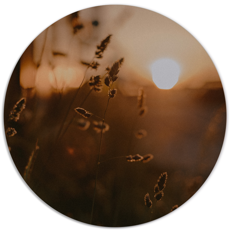 Muurcirkel Mystic Gold