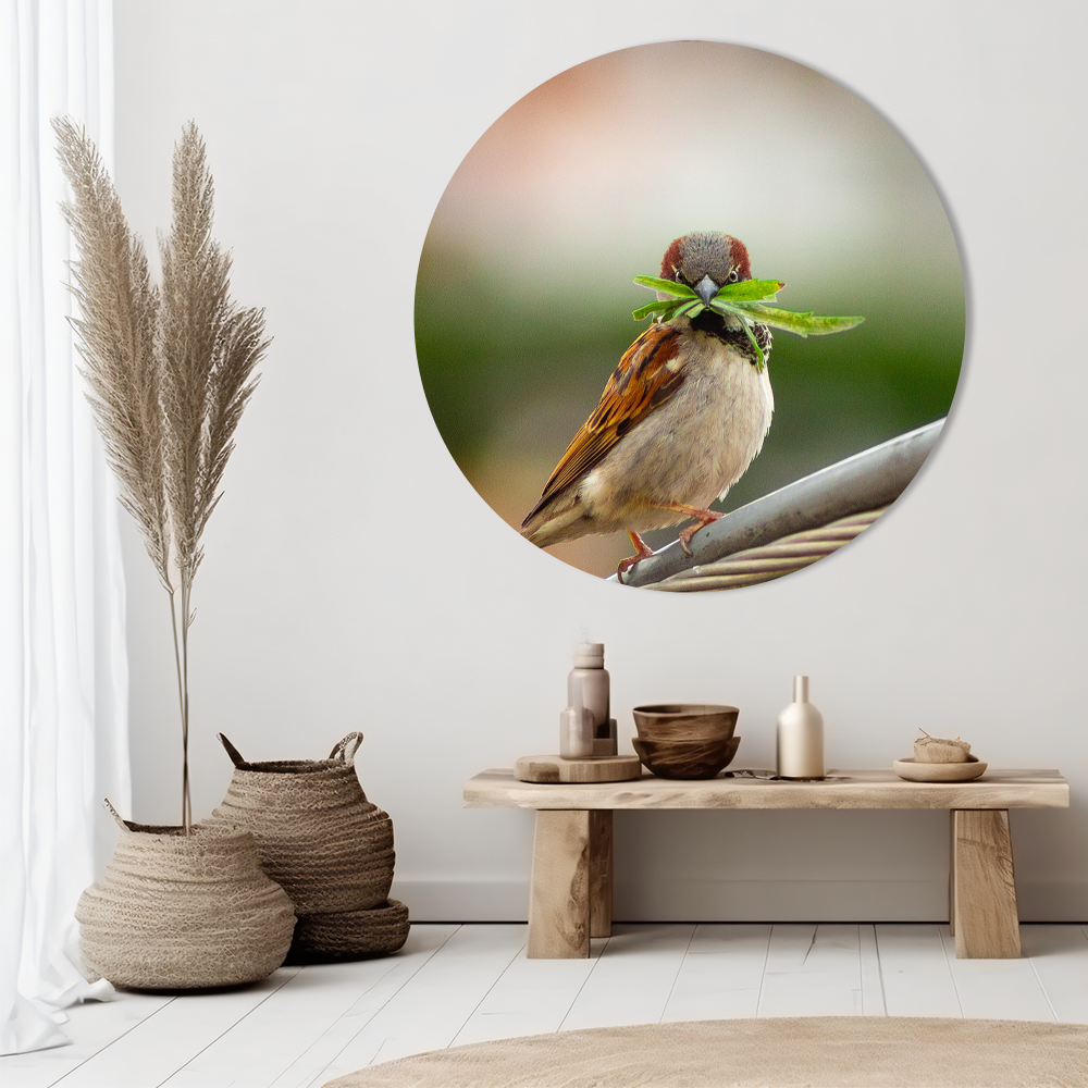 Muurcirkel Vogeltje Met Blad