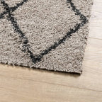 Vloerkleed Pamplona Shaggy Hoogpolig Beige En Antraciet
