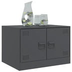 Salontafel 67X50X44 Cm Staal Kleurig