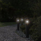 Buitenvloerlamp 60 Cm Roestvrijstaal Zwart