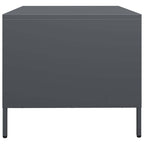 Salontafel 101,5X50X43,5 Cm Koudgewalst Staal Kleurig