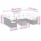 Tuin Sofa Set Met Kussen 10 Pcs Poly Riet