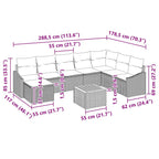 Tuin Sofa Set Met Kussen 9 Pcs Poly Riet