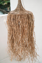 De Honolulu Hanger - Natuurlijk