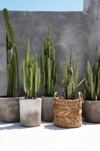 Mand Zigzag – handgevlochten bananenbladeren in natuurlijke tinten