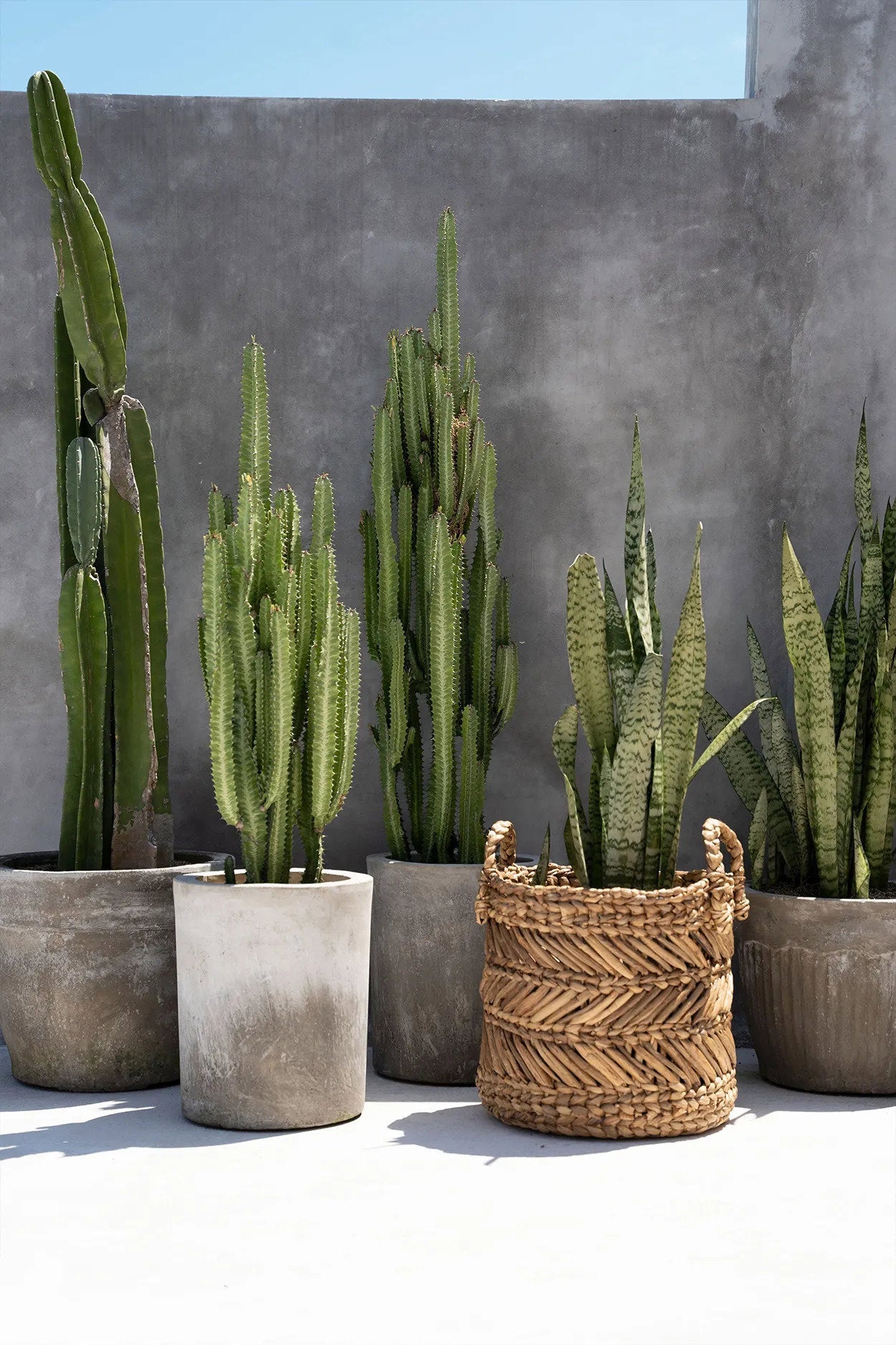 Mand Zigzag – handgevlochten bananenbladeren in natuurlijke tinten