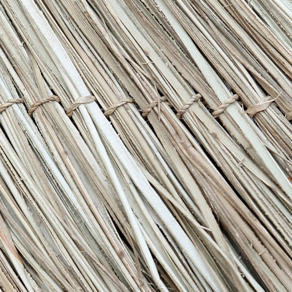 De Boosaardige Hanger - Natuurlijk