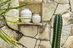 Trendy Vase – terracotta with a concrete look for dried flowers