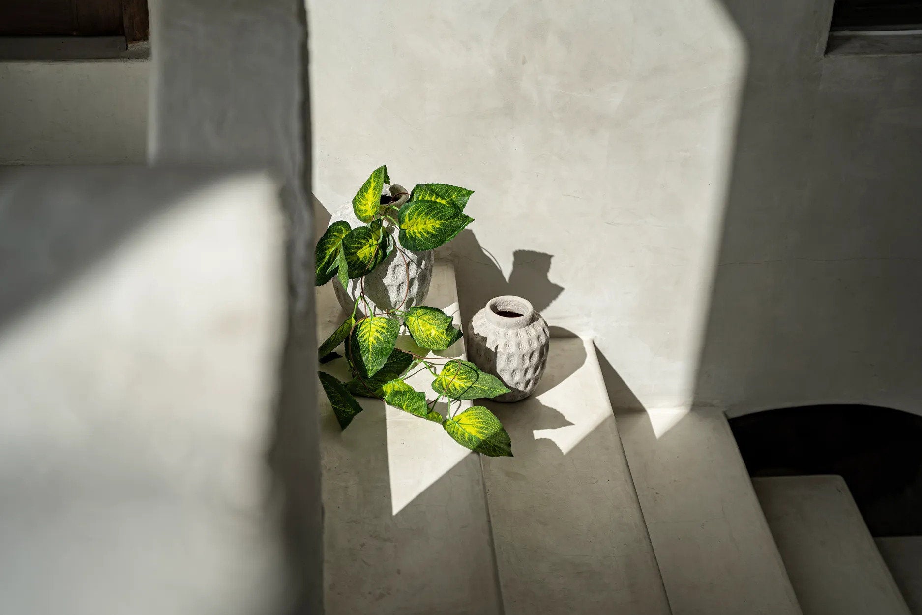 Trendy Vase – terracotta with a concrete look for dried flowers