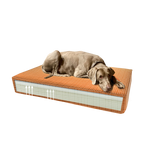 Madison Orthopedic Pillow Velvet Orange S