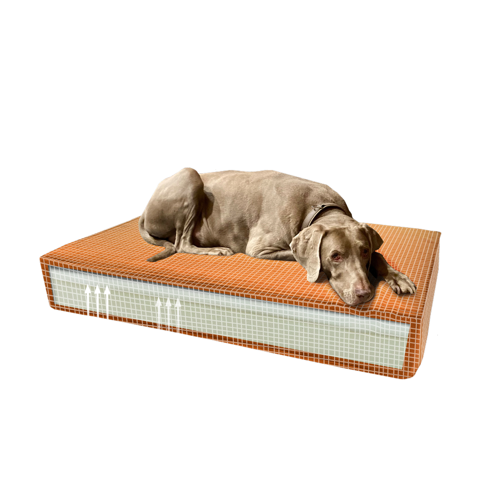 Madison Orthopedic Pillow Velvet Orange S