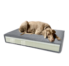 Madison Orthopedic Pillow Velvet Orange S
