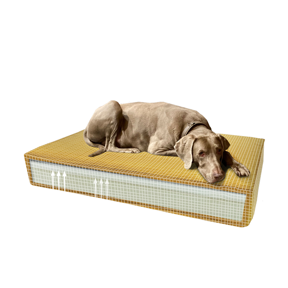 Madison Orthopedic Pillow Velvet Yellow S