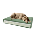Madison Orthopedic Pillow Velvet Green S