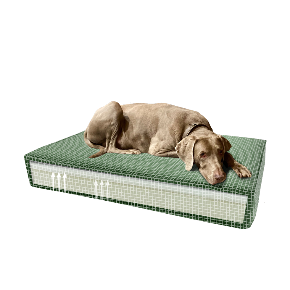 Madison Orthopedic Pillow Velvet Green S