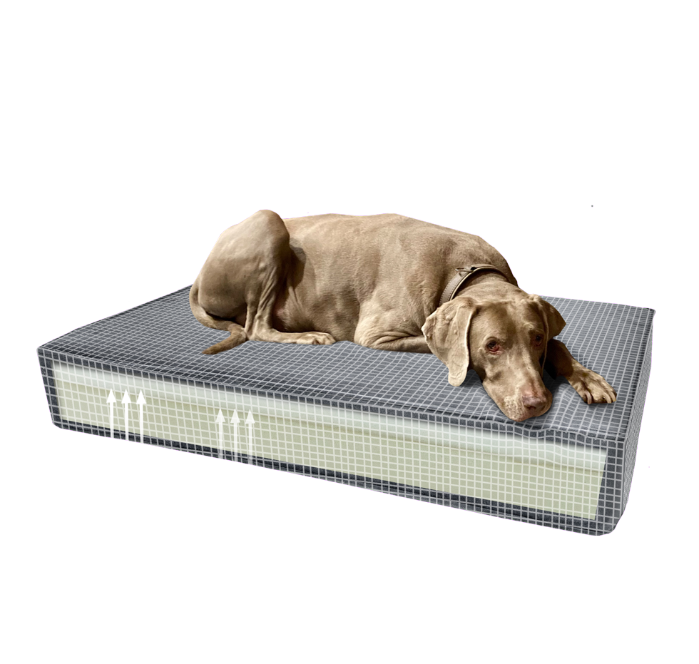 Madison Orthopedic Pillow Velvet Green S