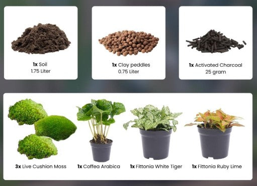 DIY Terrarium Starter and Refill Kit – Give your mini jungle new life