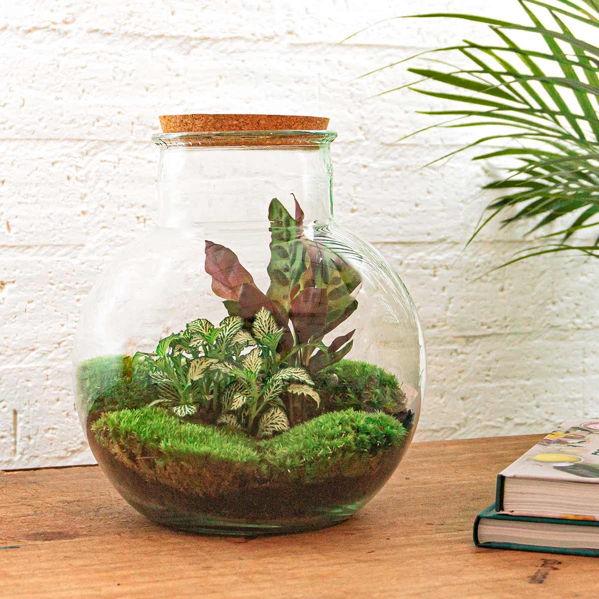 🌿🛠️ DIY Terrarium Teddy – 26.5 cm – Complete with rake, shovel, tweezers &amp; scissors