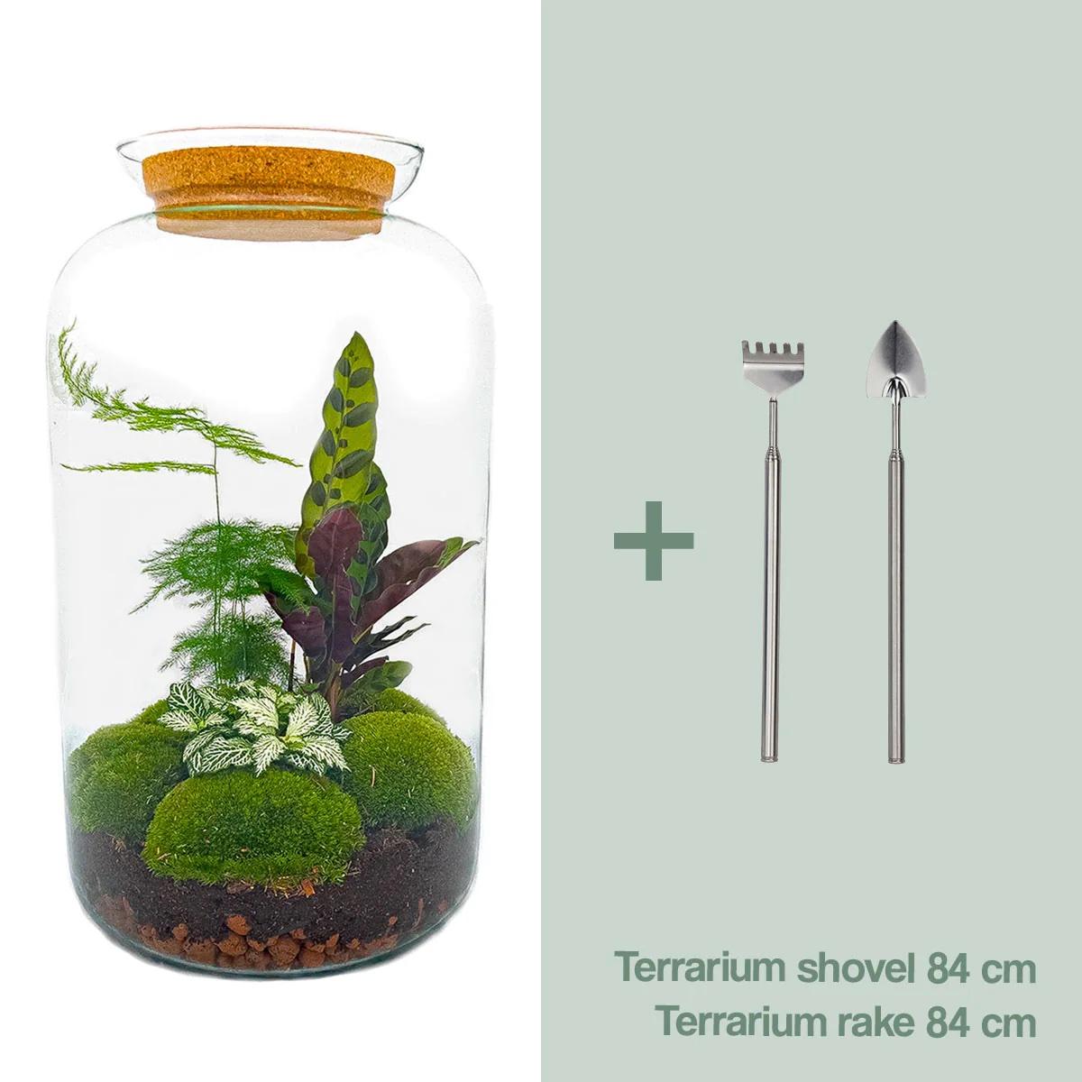 🌿🛠️ DIY Terrarium Sven XL – Botanical – 43 cm – Including rake &amp; shovel