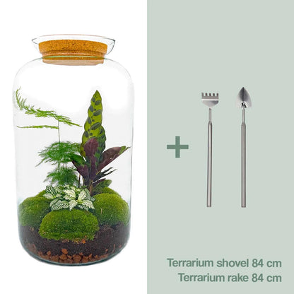 🌿🛠️ DIY Terrarium Sven XL – Botanical – 43 cm – Including rake &amp; shovel
