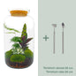 🌿🛠️ DIY Terrarium Sven XL – Botanical – 43 cm – Including rake &amp; shovel