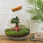 🌿🛠️ DIY Terrarium Drop XL – Bonsai – 37 cm – Including rake &amp; shovel