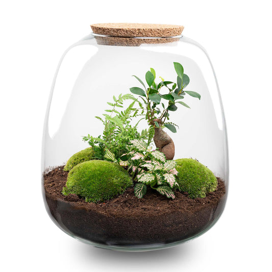 DIY Plant Terrarium Emma – Bonsai Pink + LED – Closed Ecosystem 25x23 cm