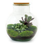 🌿🛠️ DIY Terrarium Teddy – 26.5 cm – Includes rake, shovel &amp; tweezers