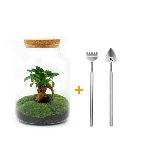 🌿🛠️ DIY Terrarium Milky – Met bonsai – 30 cm – Inclusief harkje & schepje