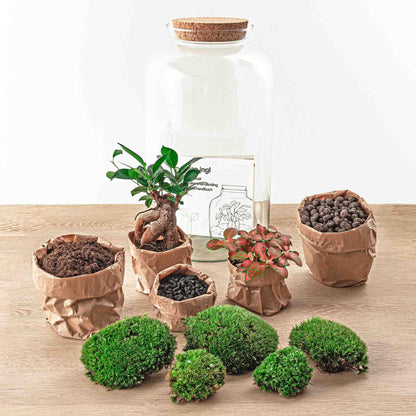 🌿🛠️ DIY Terrarium Sven – Bonsai – 43 cm – Including rake &amp; shovel