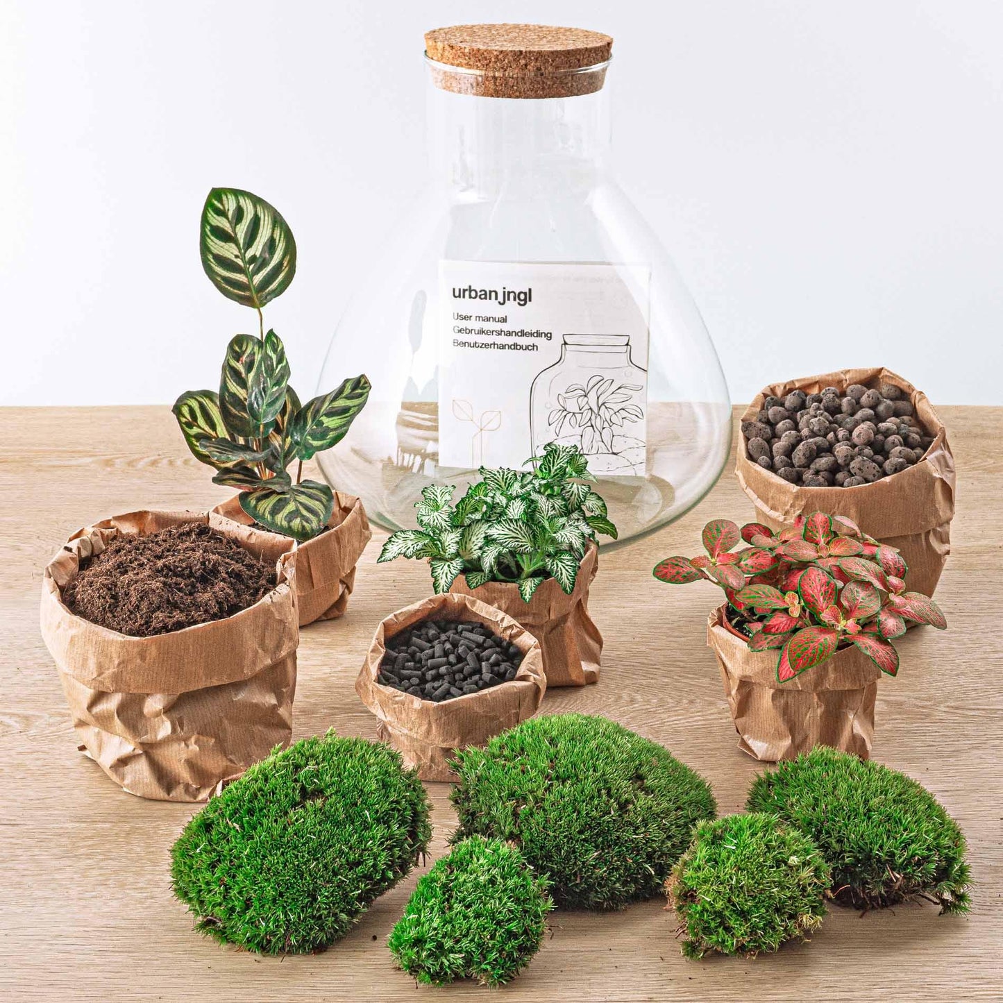 🌿🛠️ DIY Terrarium Sam XL – Red – 35 cm – Complete with rake, shovel, tweezers &amp; scissors