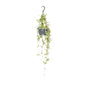 Ceropegia Linearis 'Iris' – Heart Plant Hanging Plant Ø14 cm ↕38 cm