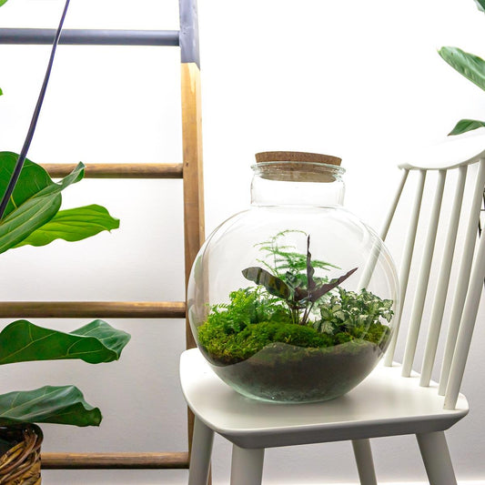 🌿 DIY Terrarium Bollard Bob – 30 cm