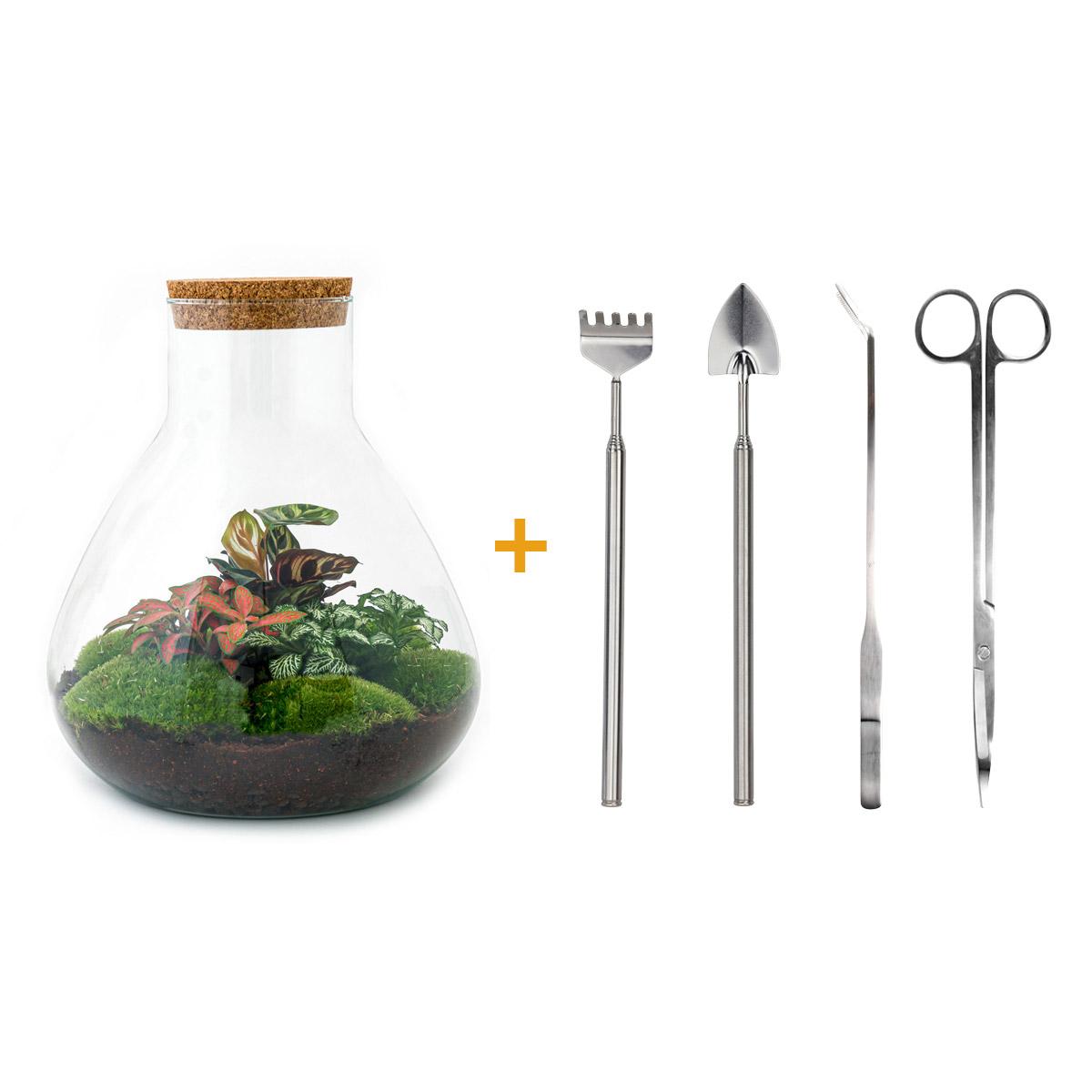 🌿🛠️ DIY Terrarium Sam XL – Red – 35 cm – Complete with rake, shovel, tweezers &amp; scissors
