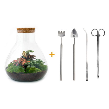 🌿🛠️ DIY Terrarium Sam XL – Red – 35 cm – Complete with rake, shovel, tweezers &amp; scissors